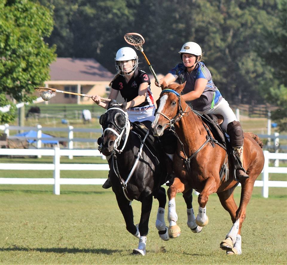 Crosse Over Challenge Dec 31 Deadline Reminder American Polocrosse 
