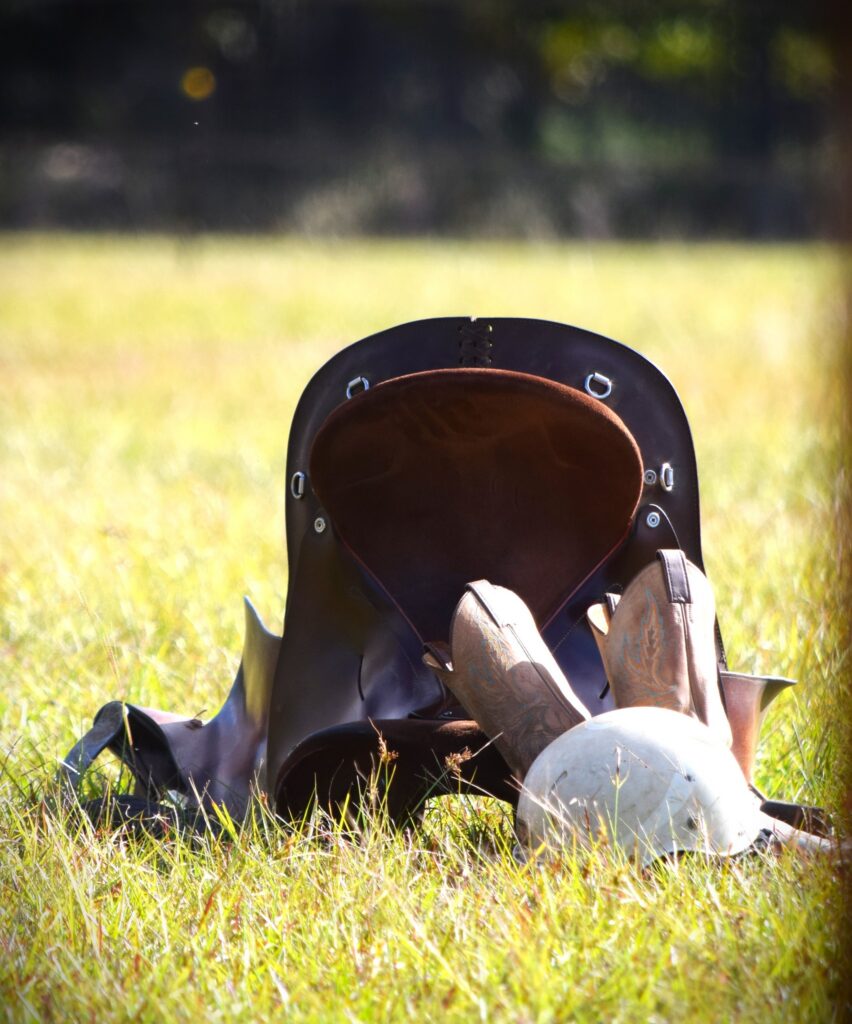 February Board Meeting Memo