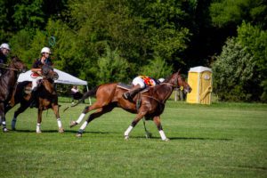 polocrosse player