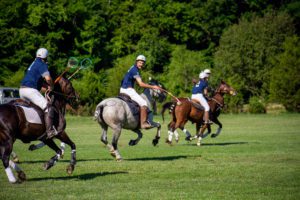 polocrosse player