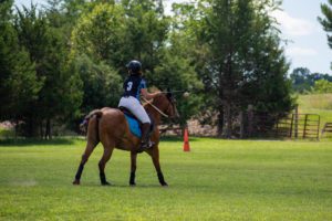 polocrosse player