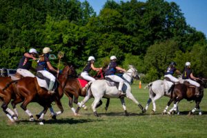 polocrosse player