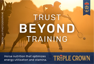 Announcing the new 2023 Triple Crown Polocrosse Rebate for APA Members